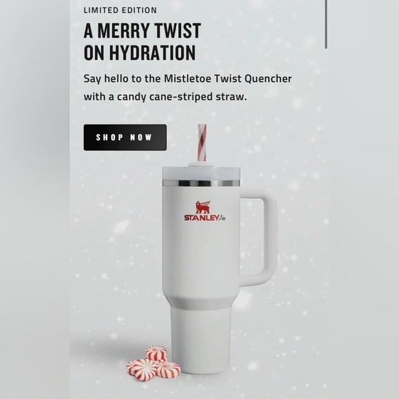Stanley Mistletoe Twist 40oz Quencher Flowstate Tumbler LIMITED EDITION 🔥 - Picture 2 of 5